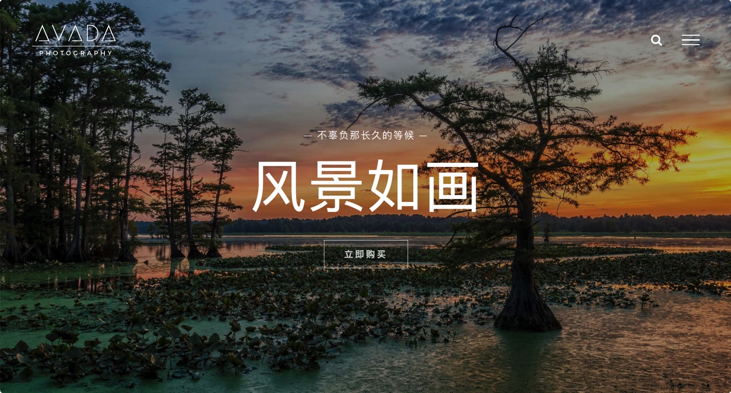 专业高端摄影网站源码-简约大气自适应插图1